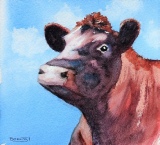 little red bull by Barbara King watercolour painting