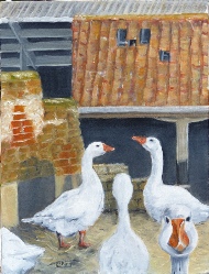 Five Geese Norfolk Farm painting by Barbara King