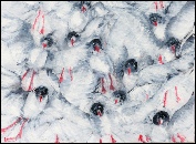 Bun Fight at O'Gull Corral! Black Headed Gulls at Hunstanton acrylic painting by Barbara King